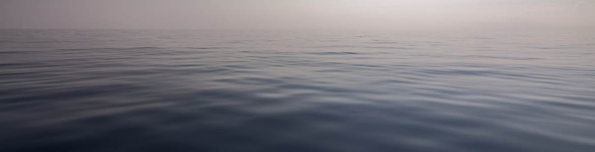 株式会社オフィスワイズ　Office Wise site